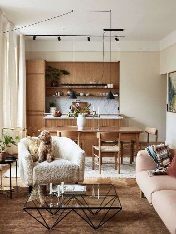 stylish kitchen and living room open layout