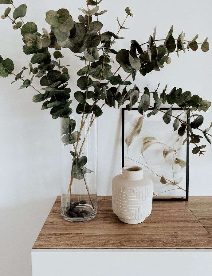 Budget-Friendly Apartment Decor Ideas For An Affordable Upgrade