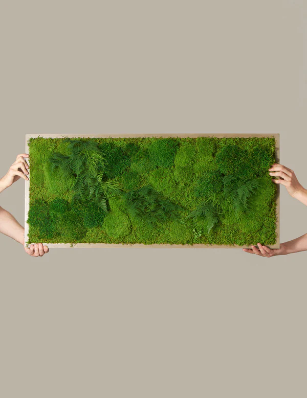 Preserved Living Wall